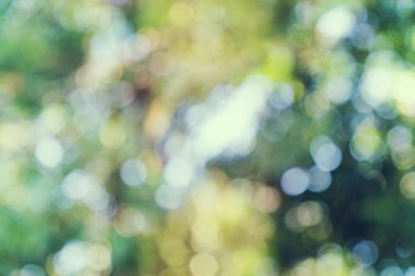 Doğal bokeh bulanık arkaplan, Vintage