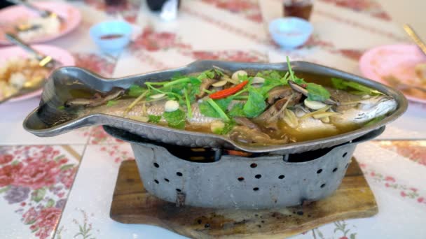Αχνιστά Snapper Σάλτσα Σόγιας Ταϊλανδέζικο Φαγητό — Αρχείο Βίντεο