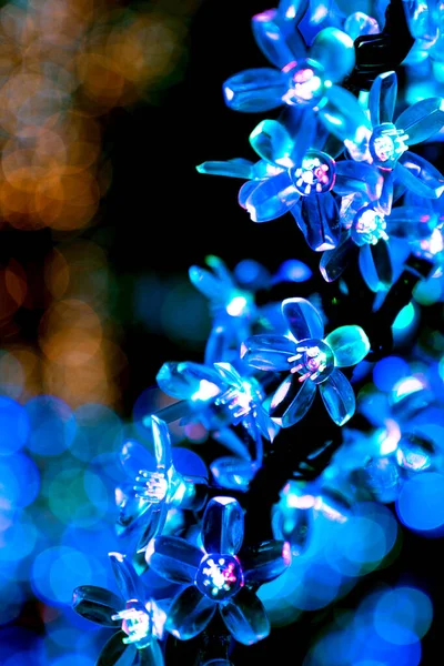 Noel Işıkları Yılbaşı Işıklarıyla Süslü Bir Çiçek — Stok fotoğraf