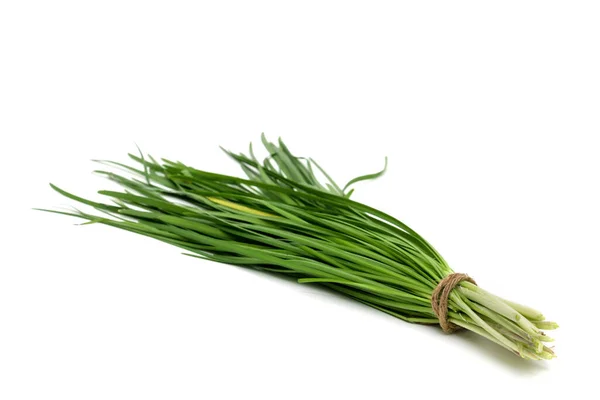 Garlic Chive Isolated White Background — Stock Photo, Image