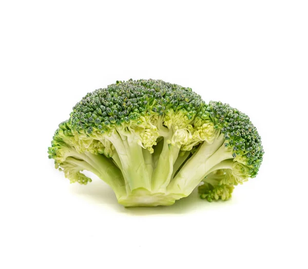 Broccoli Isolated White Background — Stock Photo, Image