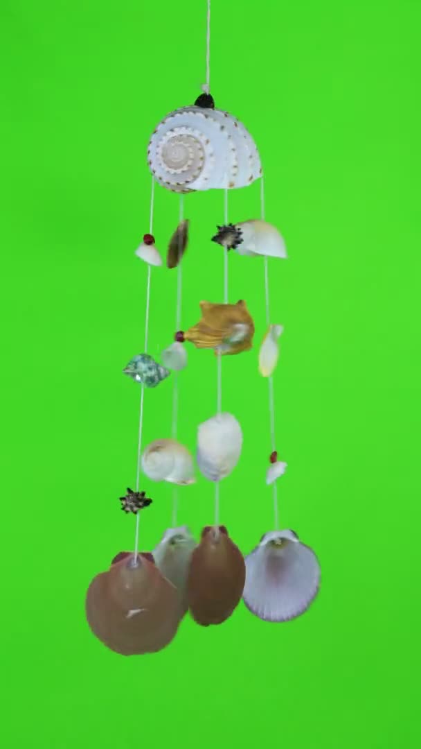 Seashell Mobile Rotating Green Screen — Stock Video