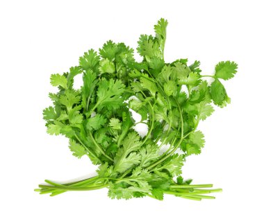 coriander isolated on white background clipart