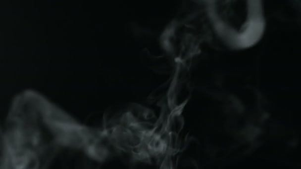 Vapor Pulverização Água Movimento Fumaça Isolado Fundo Preto — Vídeo de Stock