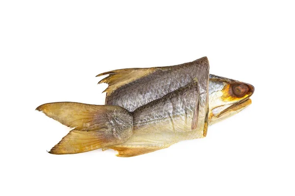 Czteropalczasta Suszona Ryba Wyizolowana Białym Tle Solona Ryba — Zdjęcie stockowe
