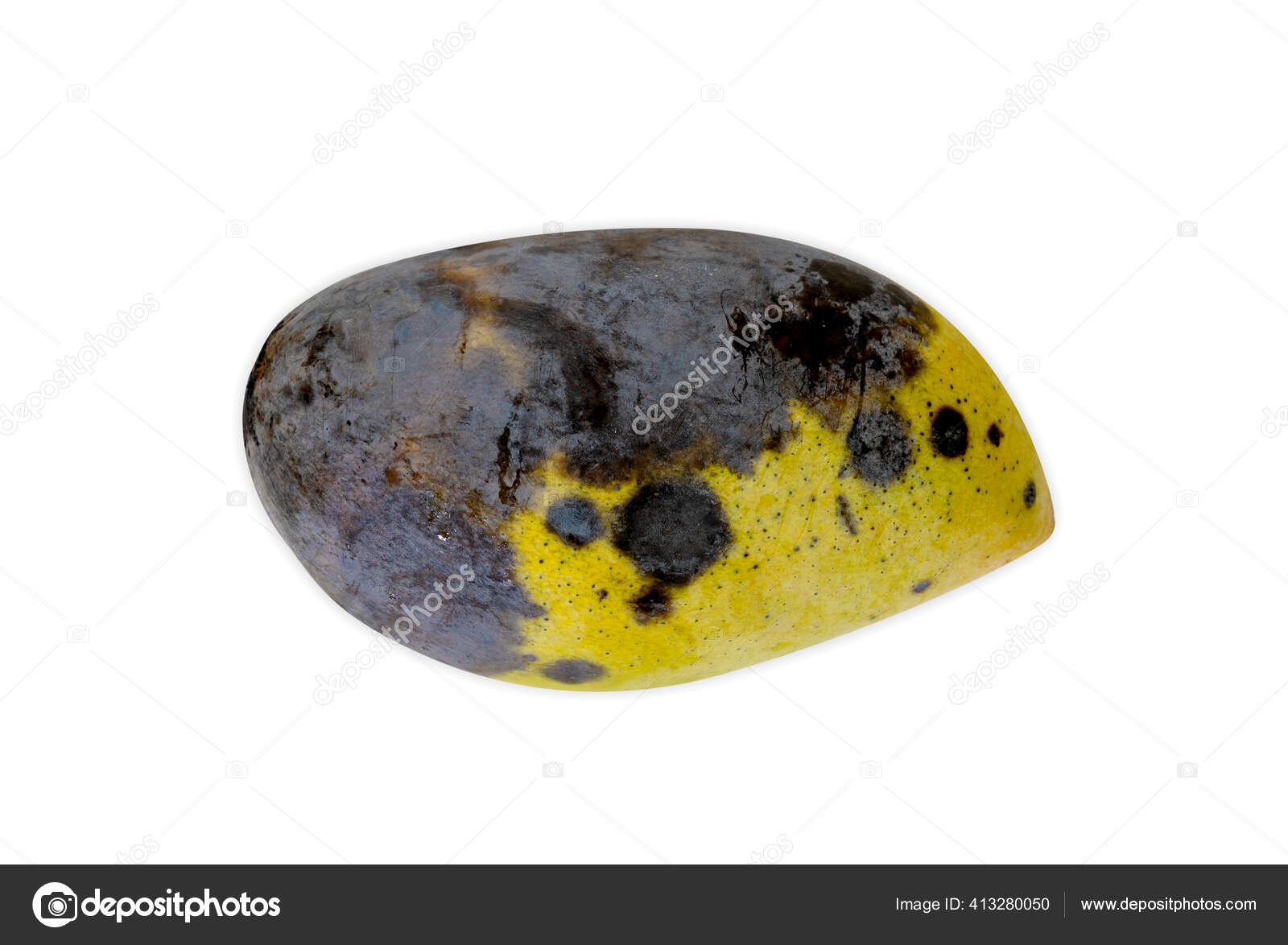 Rotten mango.. Stock Photo