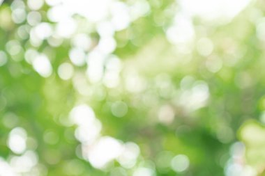Doğal yeşil bokeh soyut arkaplan, bulanık doku