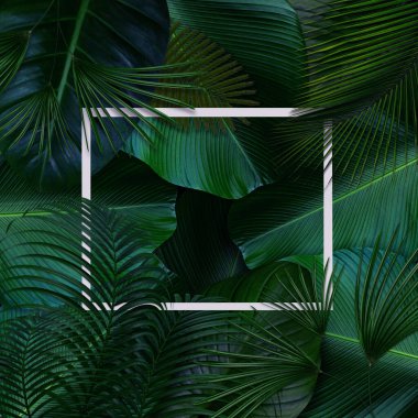 Doğa konsepti için beyaz çerçeveli yeşil yapraklar desen, tropikal yaprak desenli arka plan
