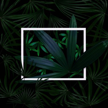 Doğa konsepti için beyaz çerçeveli yeşil yapraklar desen, tropikal yaprak desenli arka plan