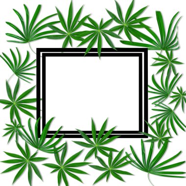 Doğa kavramı için beyaz çerçeveli yeşil yapraklı desen, beyaz arkaplanda izole edilmiş tropikal yaprak ağacı