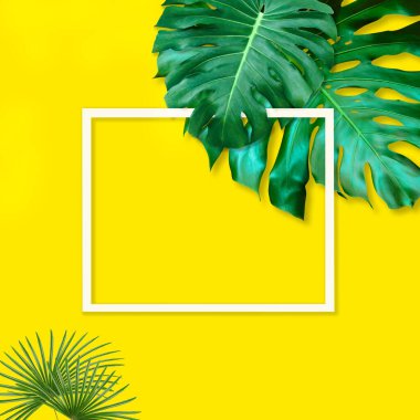 Yeşil canavar doğa konsepti için desen, sarı arka planda tropikal yaprak