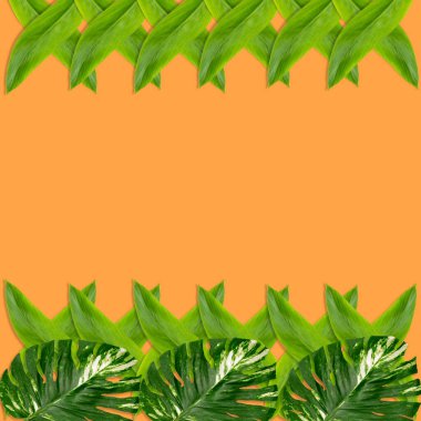 Doğa konsepti için yeşil palmiye yaprakları deseni, turuncu arka planda tropikal yaprak