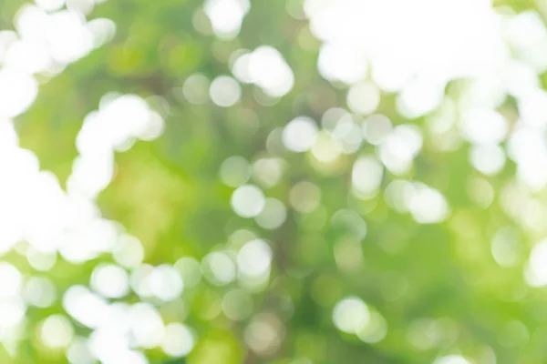 Натуральний Зелений Боке Абстрактний Фон Розмита Текстура — стокове фото