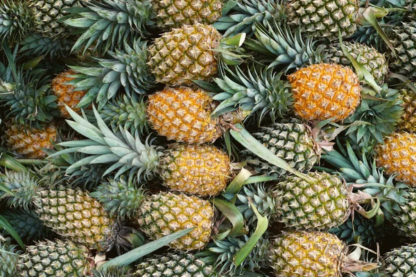 Fundo Abacaxi Frutas Tropicais Suculentas Tailândia — Fotografia de Stock