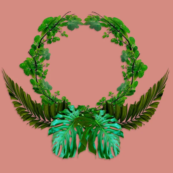 Groene Palmbladeren Patroon Voor Natuurconcept Tropisch Blad Roze Achtergrond — Stockfoto