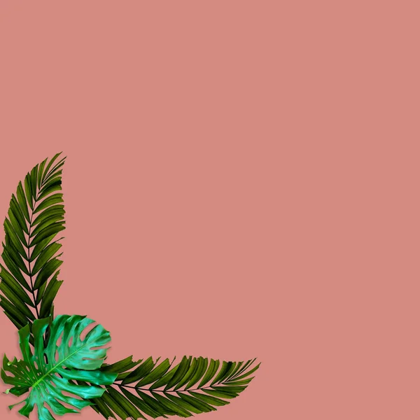 Zelené Palmové Listy Vzor Pro Přírodu Koncept Tropické Listy Růžovém — Stock fotografie