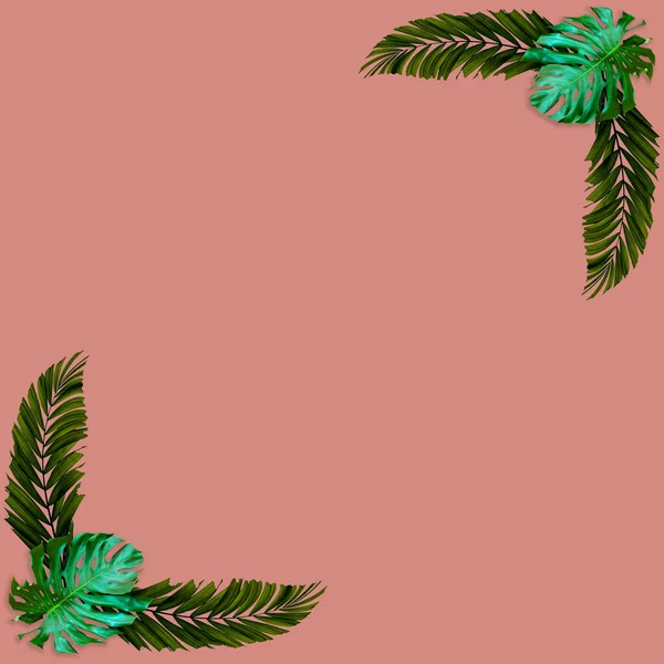 Green Palm Leaves Pattern Nature Concept Tropical Leaf Pink Background — Stock Photo, Image