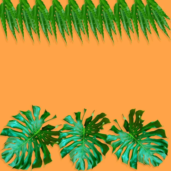 绿色棕榈叶模式为自然概念 热带叶在橙色背纹上 — 图库照片
