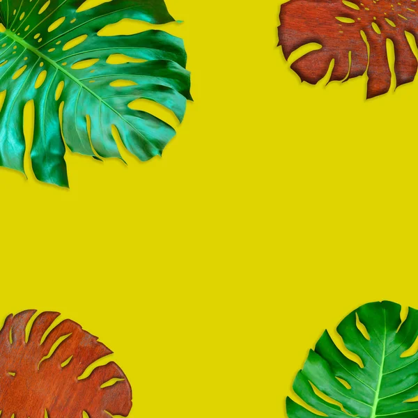 Зеленый Монстра Листья Шаблон Концепции Природы Тропический Лист Желтом Фоне — стоковое фото