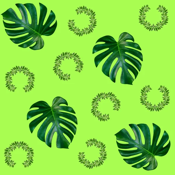 Візерунок Зеленого Листя Долоні Концепції Природи Тропічний Лист Зеленому Фоні — стокове фото