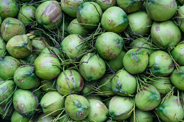 Group Green Coconuts Textured Background — Stock Photo, Image