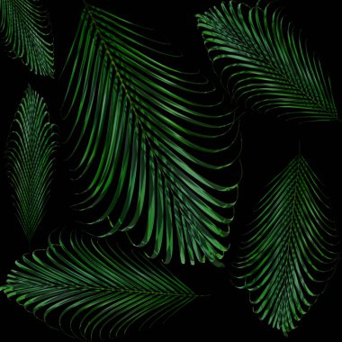 Doğa konsepti için yeşil yapraklar desen, tropikal yaprak desenli arka plan