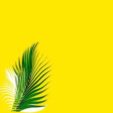 Yeşil palmiye yaprakları doğa konsepti için desen, sarı arkaplanda tropikal yaprak