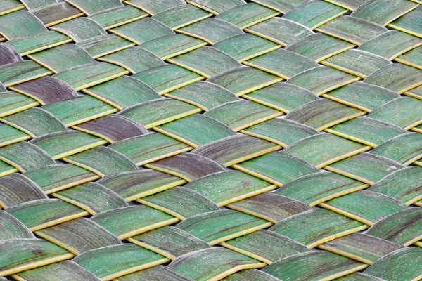 Padrão Folhas Verdes Tecelagem Textura Folha Coco — Fotografia de Stock