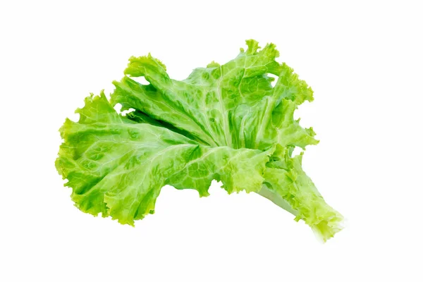 Groene Sla Bladeren Geïsoleerd Witte Achtergrond Salade Ingrediënt — Stockfoto