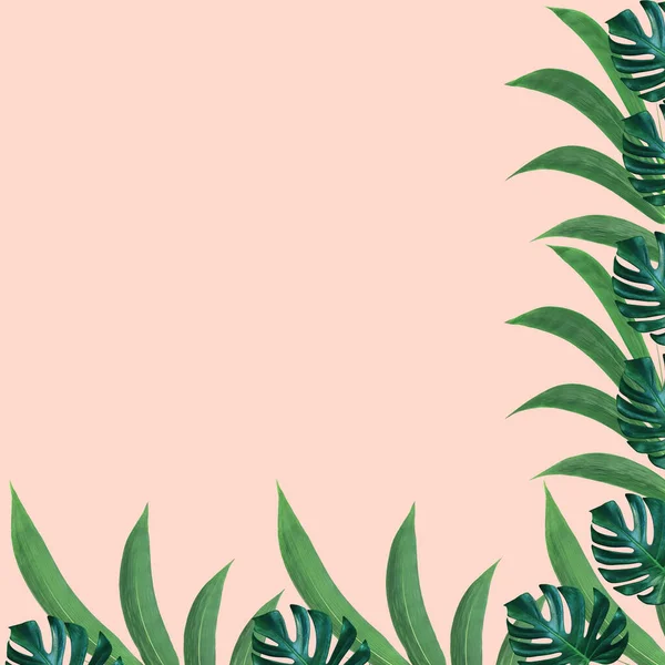 緑のモンスターと竹の葉のパターンは 自然コンセプト ピンクの背景に熱帯の葉 — ストック写真