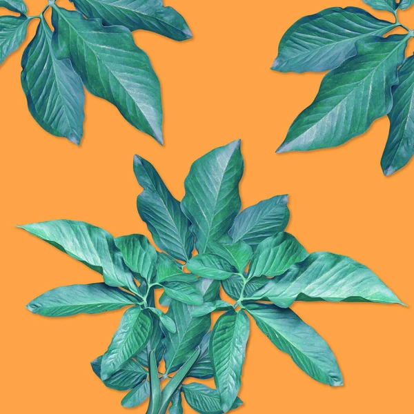 Padrão Folhas Palma Coloridas Para Conceito Natureza Folha Tropical Fundo — Fotografia de Stock