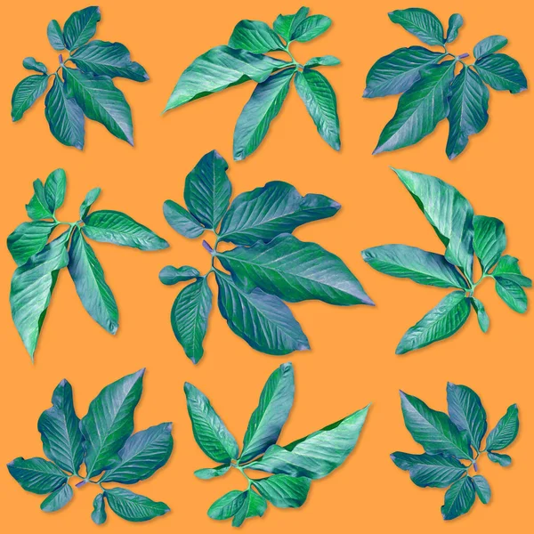 色彩艳丽的棕榈叶图案 自然概念 热带叶 橙色背景 — 图库照片