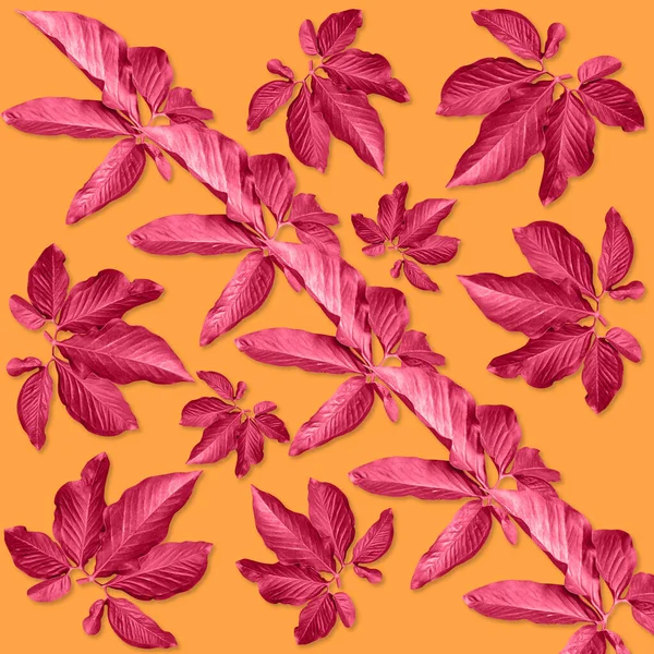 Rode Palm Bladeren Patroon Voor Natuur Concept Tropisch Blad Oranje — Stockfoto