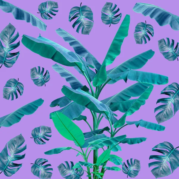 色鮮やかな椰子の葉のパターンは自然の概念 紫の背景に熱帯の葉 — ストック写真