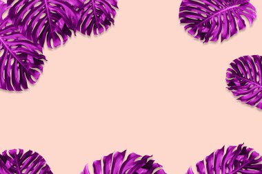 Yeşil canavar yaprağı deseni doğa konsepti için menekşe renginde, kopyalanmış fotokopi alanı olan tropikal yaprak ise pembe arka planda. 