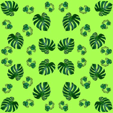 Tropikal egzotik bitki yaprağından kusursuz, yeşil yapraklar doğa konsepti için yeni bir renk, tekstil ve kumaş tasarımı için soyut bir arkaplan oluşturulmuştur.