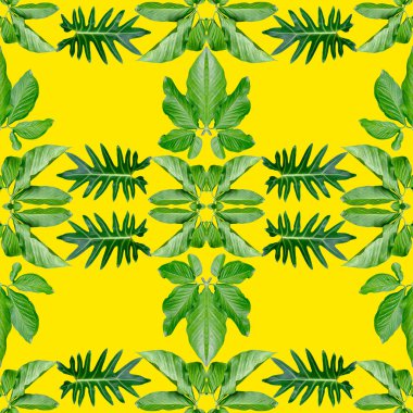 Tropikal egzotik bitki yaprağı, yeşil yapraklar doğa konsepti için yeni bir renk, tekstil ve kumaş tasarımı için soyut bir arkaplan, sarı arka planda izole edilmiş.