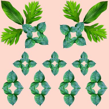 Tropikal egzotik bitki yaprağı, yeşil yapraklar doğa konsepti için yeni bir renk, tekstil ve kumaş tasarımı için soyut bir arkaplan, pembe arka planda izole edilmiş.