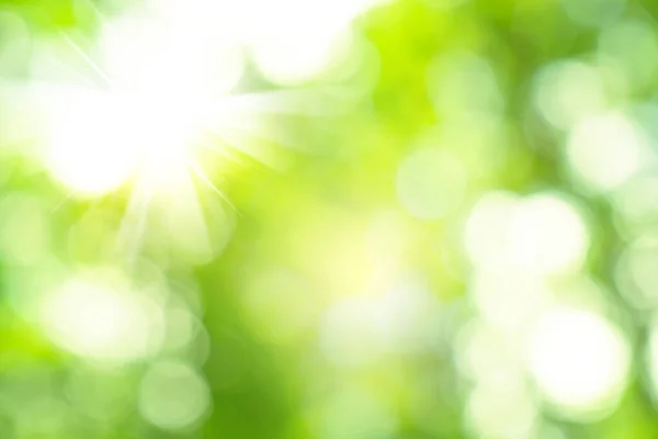 Натуральний Зелений Боке Абстрактний Фон Розмита Текстура — стокове фото
