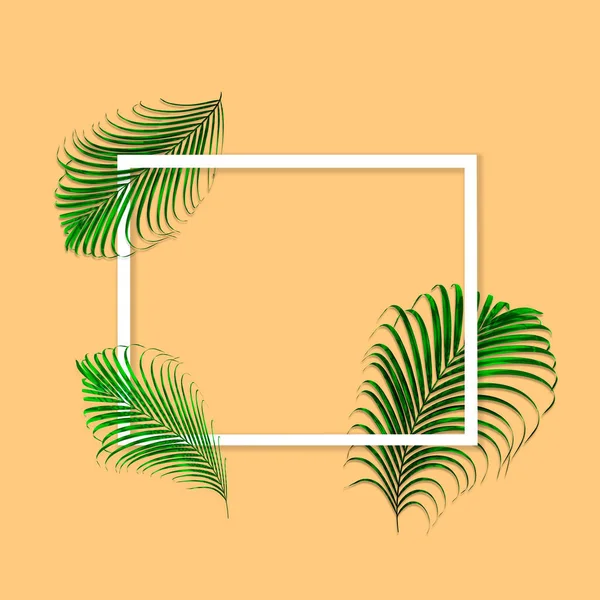 Zelené Palmové Listy Vzor Pro Přírodu Koncept Tropický List Oranžovém — Stock fotografie