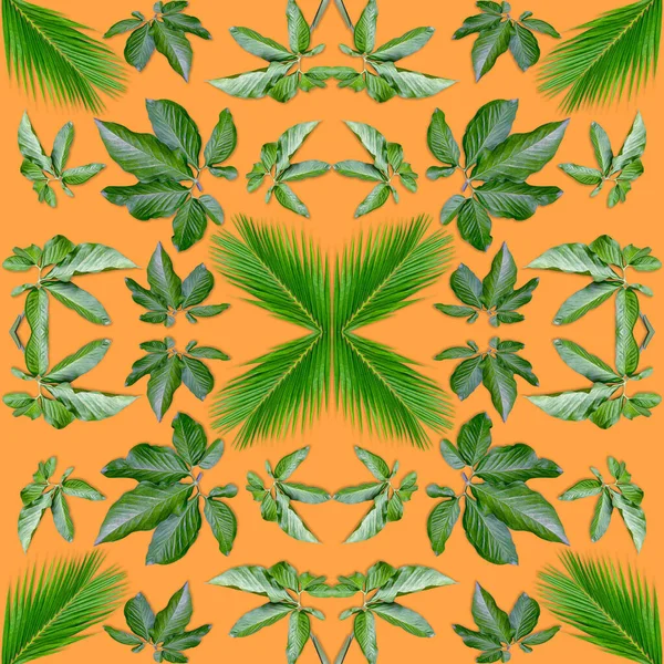 Безшовний Тропічний Екзотичний Лист Рослини Зелений Візерунок Листя Роблять Новий — стокове фото