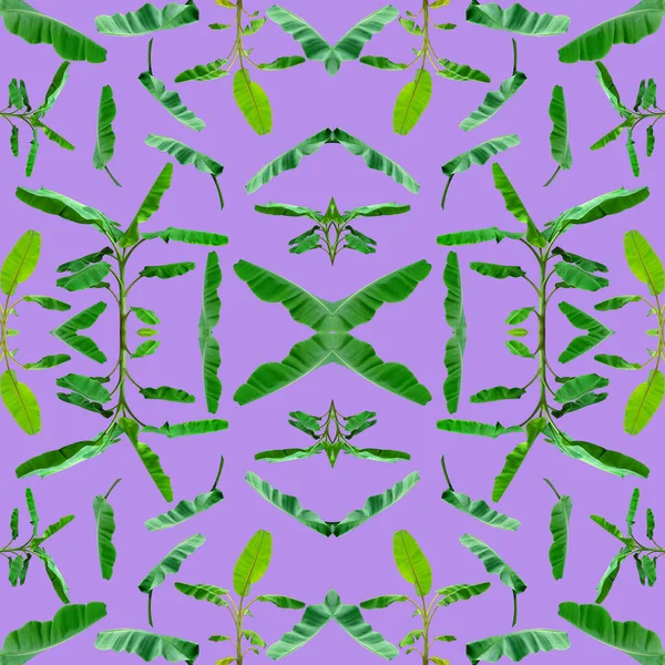 热带异国情调植物叶片无缝 绿叶图案为大自然的概念增添了新的色彩 为纺织品和织物的设计提供了抽象的背景 — 图库照片