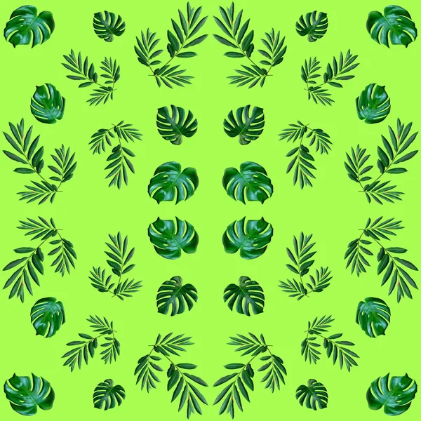Бесшовные Тропических Экзотических Листьев Растений Зеленые Листья Узор Сделан Новый — стоковое фото