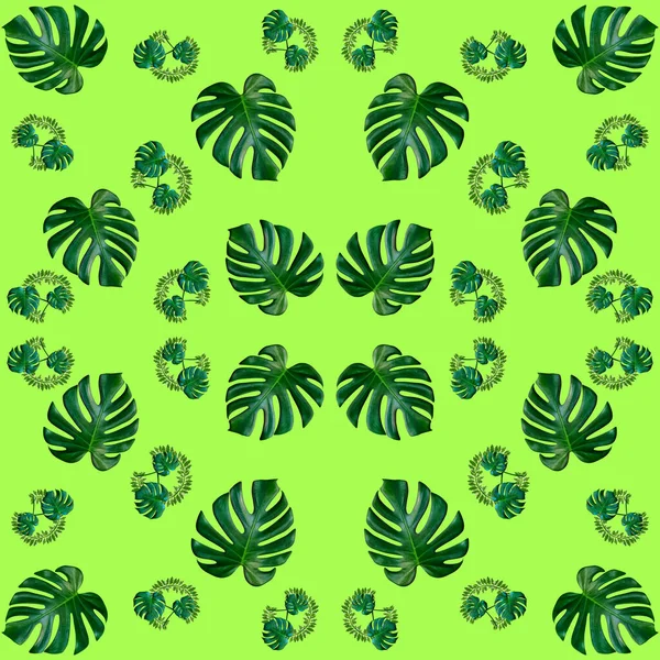 Tropikal egzotik bitki yaprağından kusursuz, yeşil yapraklar doğa konsepti için yeni bir renk, tekstil ve kumaş tasarımı için soyut bir arkaplan oluşturulmuştur.