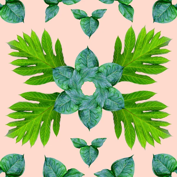 Тропических Экзотических Листьев Растений Зеленые Листья Узор Сделаны Новый Цвет — стоковое фото