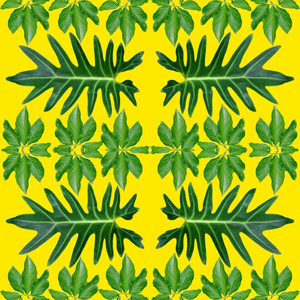 热带异国情调植物叶 绿叶图案为大自然的概念增添了新的色彩 为纺织品和织物设计提供了抽象的背景 在黄色背景下被隔离开来 — 图库照片