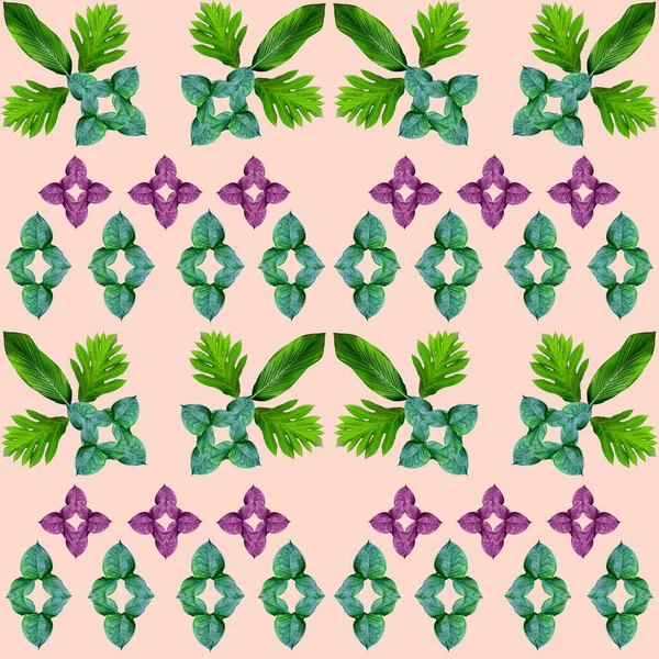 热带异国情调植物叶 绿叶图案 为大自然的概念增添了新的色彩 为纺织品和面料设计提供了抽象的背景 在粉色背景下被分离出来 — 图库照片