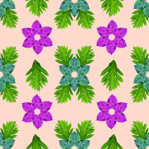 Tropikal egzotik bitki yaprağı, yeşil yapraklar doğa konsepti için yeni bir renk, tekstil ve kumaş tasarımı için soyut bir arkaplan, pembe arka planda izole edilmiş.