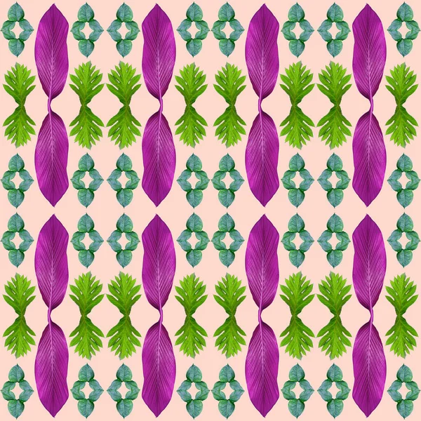 热带异国情调植物叶 绿叶图案 为大自然的概念增添了新的色彩 为纺织品和面料设计提供了抽象的背景 在粉色背景下被分离出来 — 图库照片