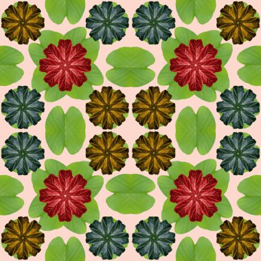 Doğa konsepti için renkli yapraklar, tropikal egzotik bitki yaprağı, tekstil ve kumaş tasarımı için pürüzsüz arkaplan